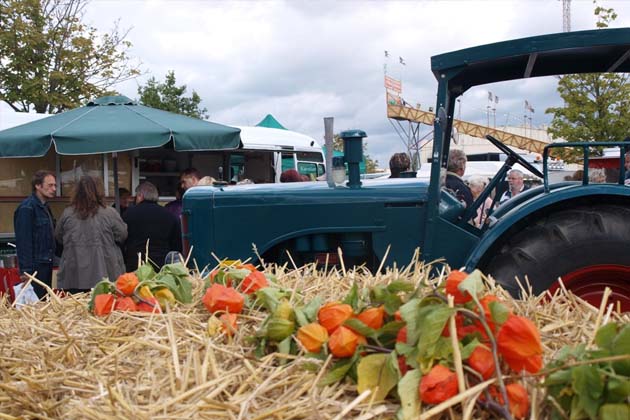 Der Eisleber Wiesenmarkt in der Lutherstadt Eisleben kann auf eine langjährige Tradition zurückblicken 